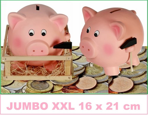 SPARSCHWEIN-JUMBO-XXL-21x16cm-