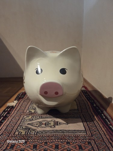 Xxl sparschwein alt - xxl, und