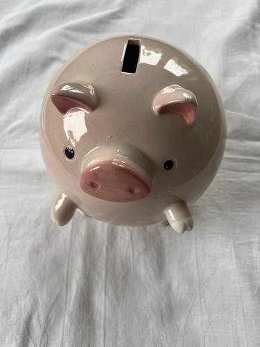 Xxl spardose sparschwein - spardose,