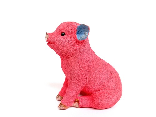 Spardose sparschwein - spardose,