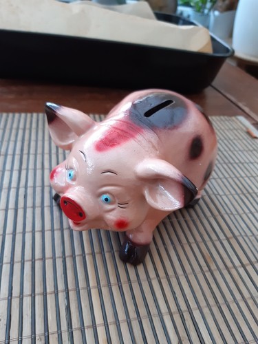 Sparschwein aus